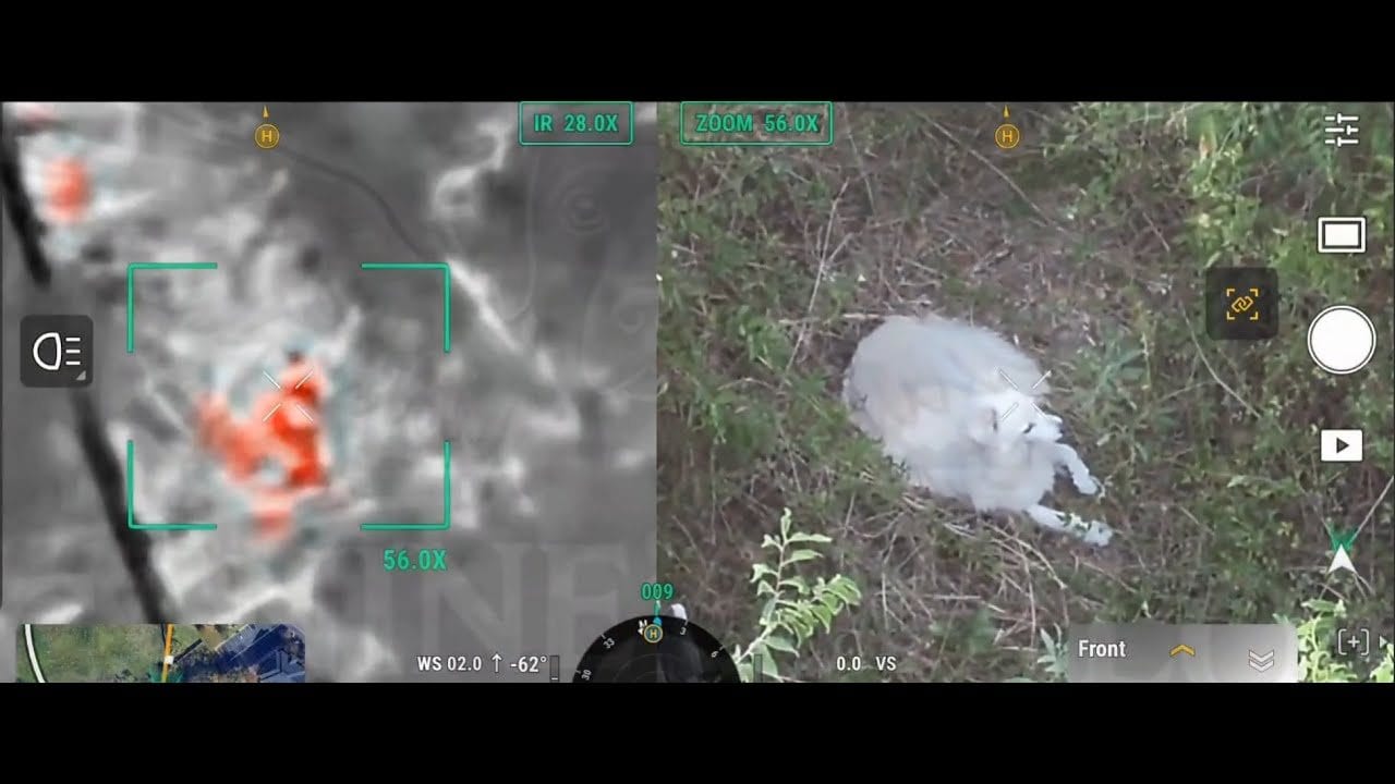 A still from the thermal drone footage of the early-morning search that found Andie